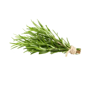 Rosemary